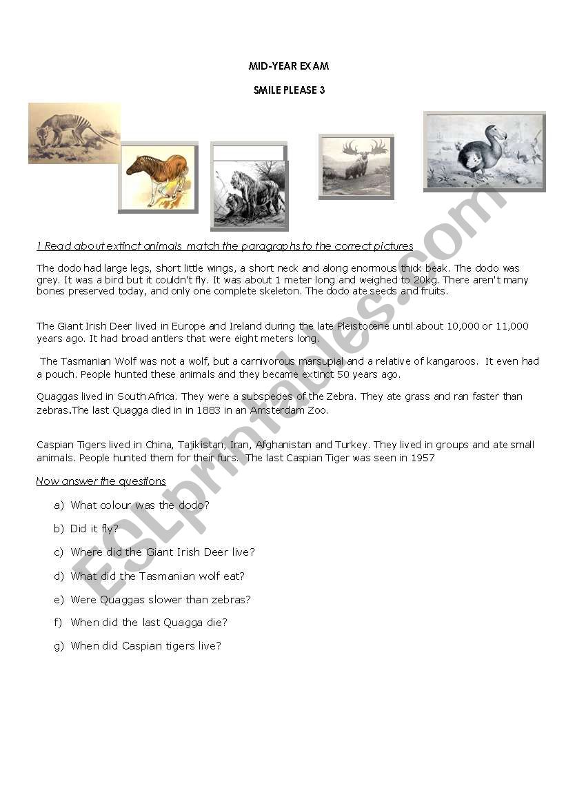 PAST SIMPLE TENSE worksheet