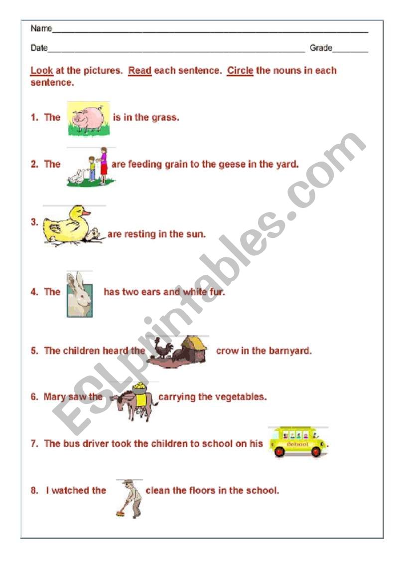 noun worksheet