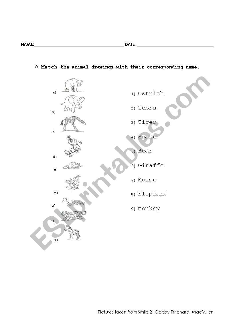 animals match worksheet