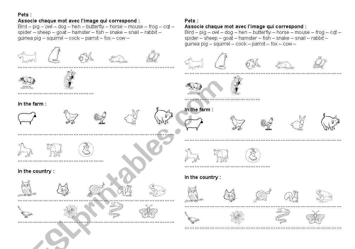 Pets worksheet