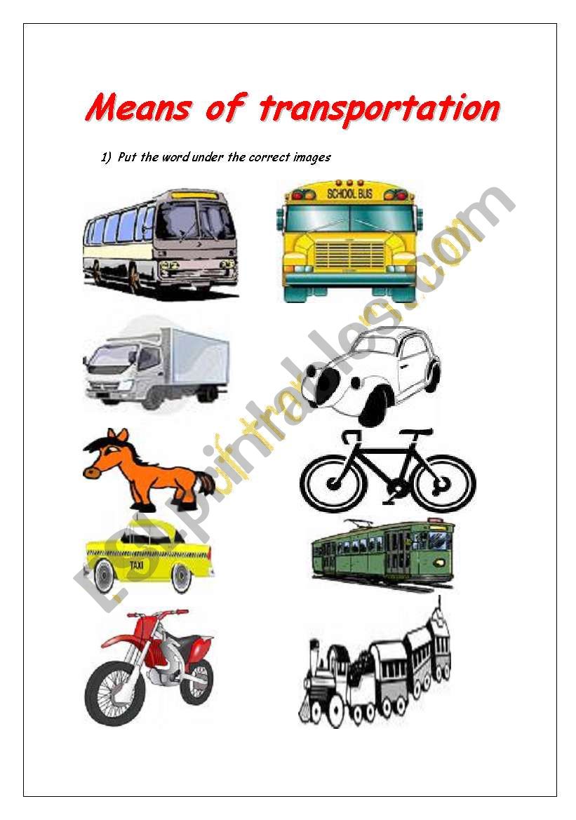 Transports worksheet