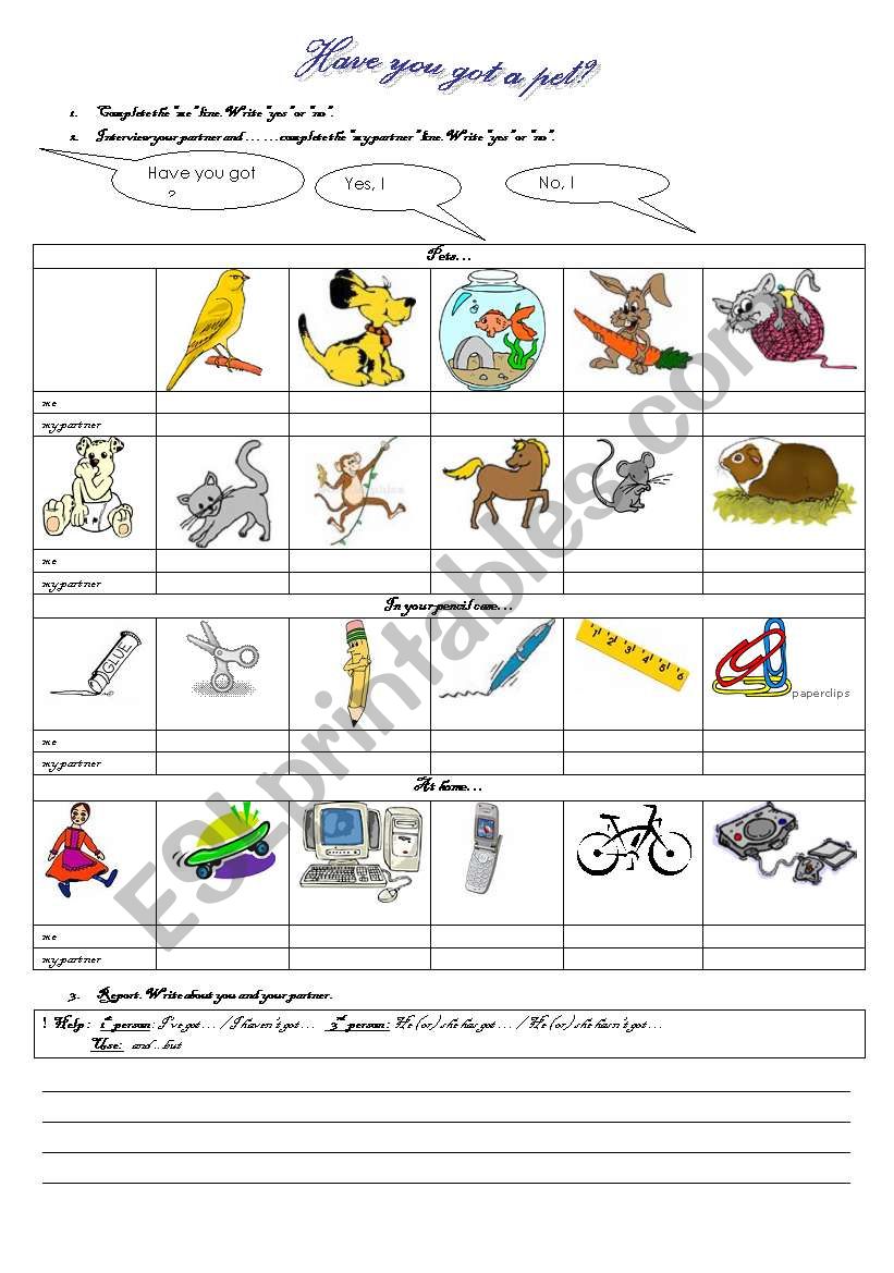 Have you got?  pair work worksheet