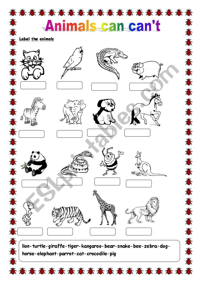 Animals can canÂ´t worksheet