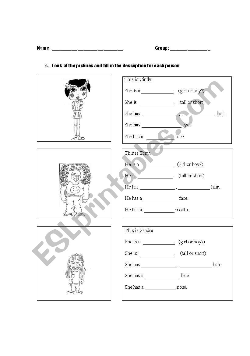 physical descriptions worksheet