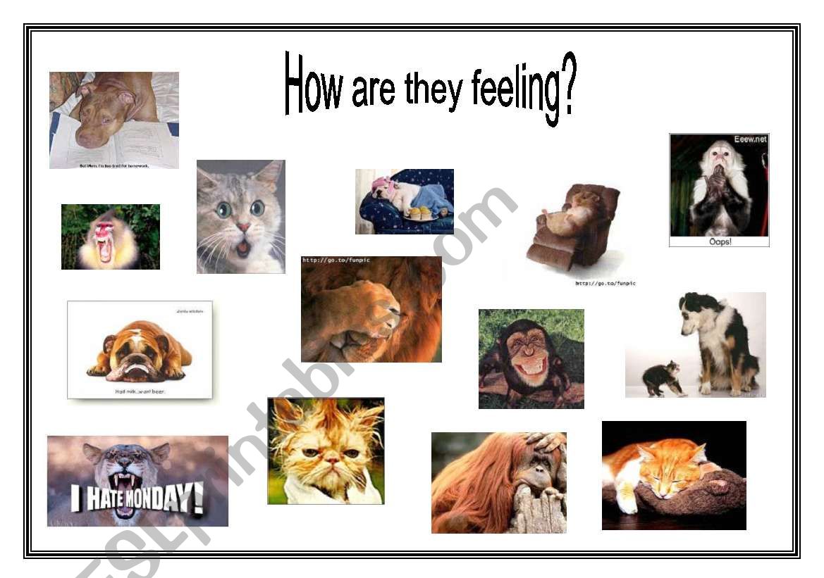 Feelings 2 worksheet