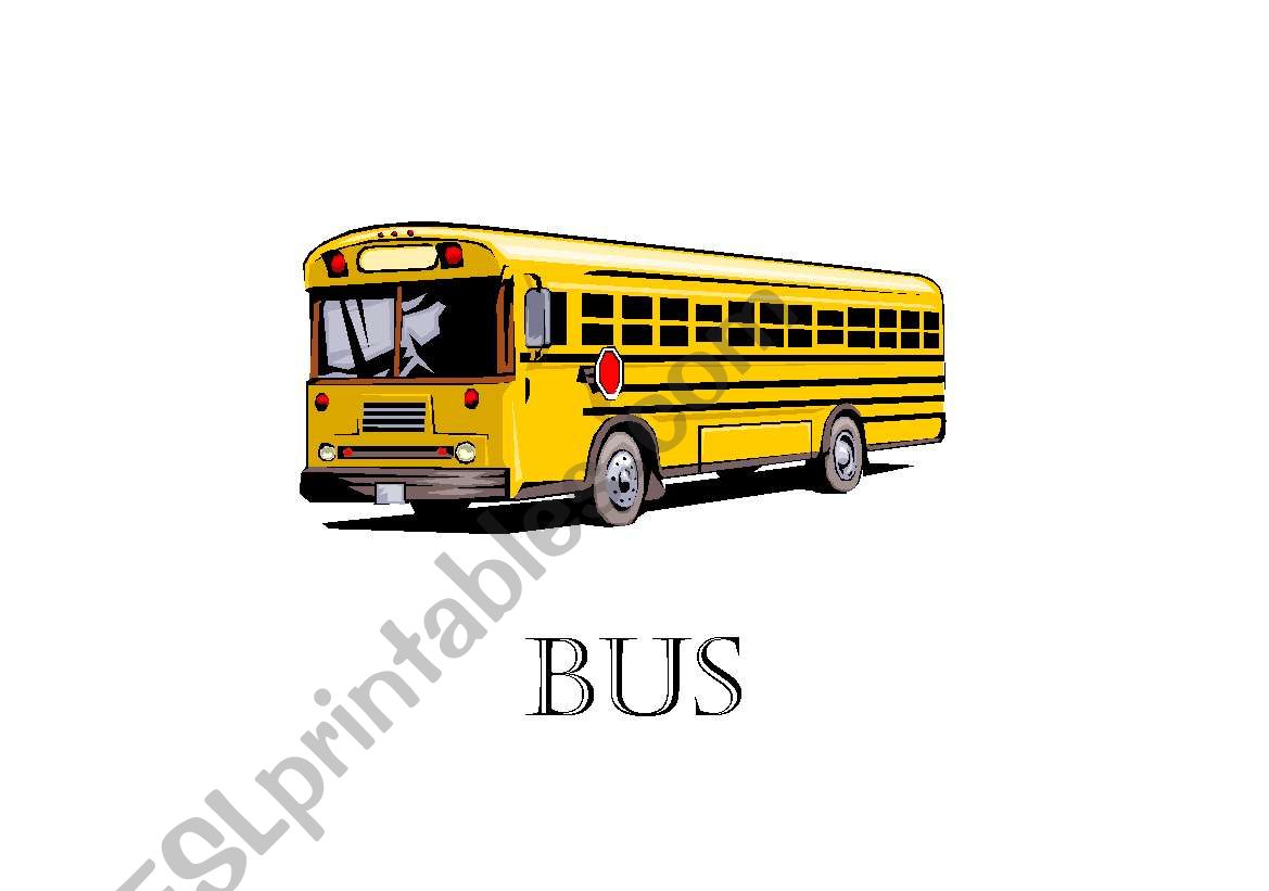 Means of transport worksheet