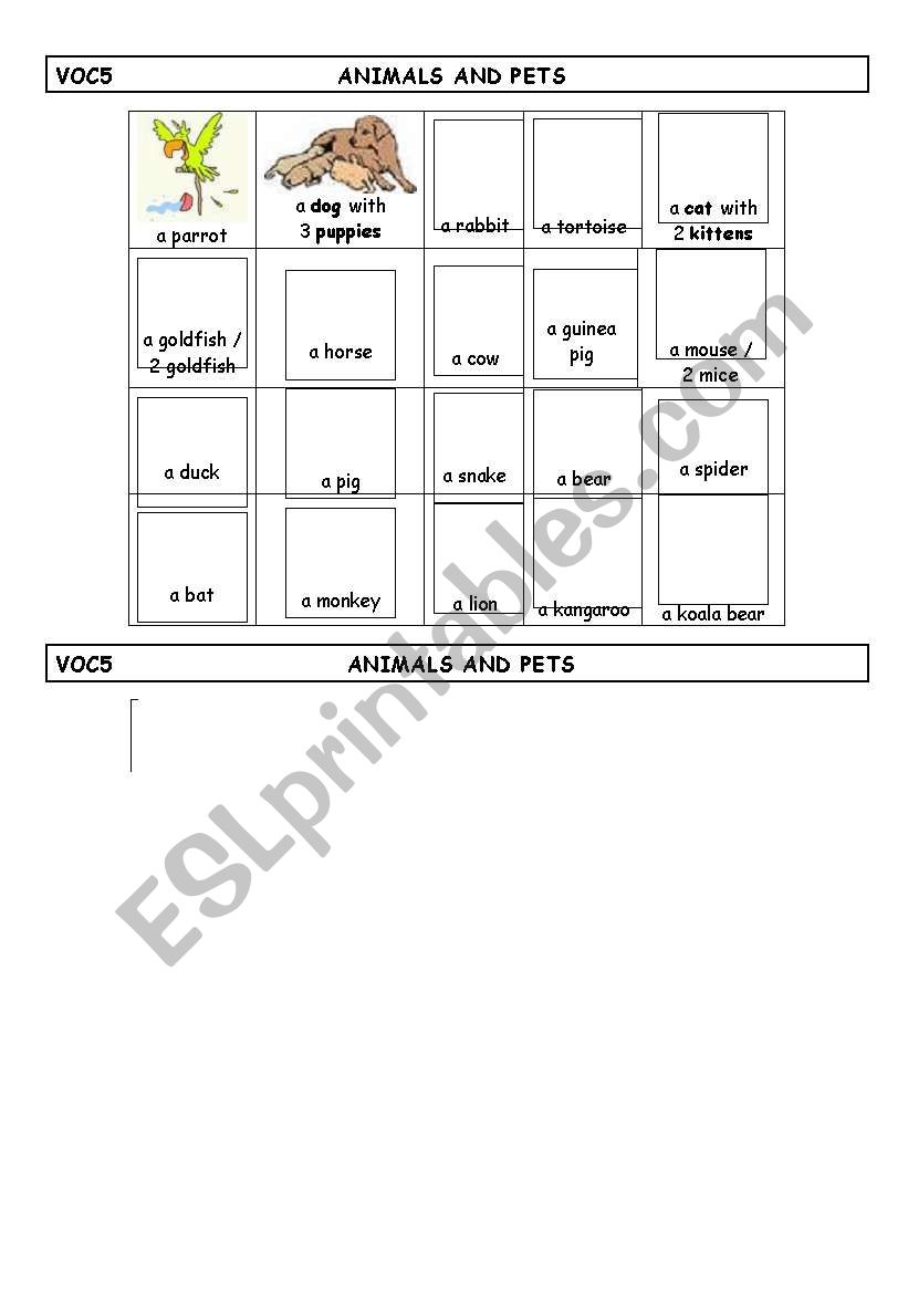 animals and pets worksheet