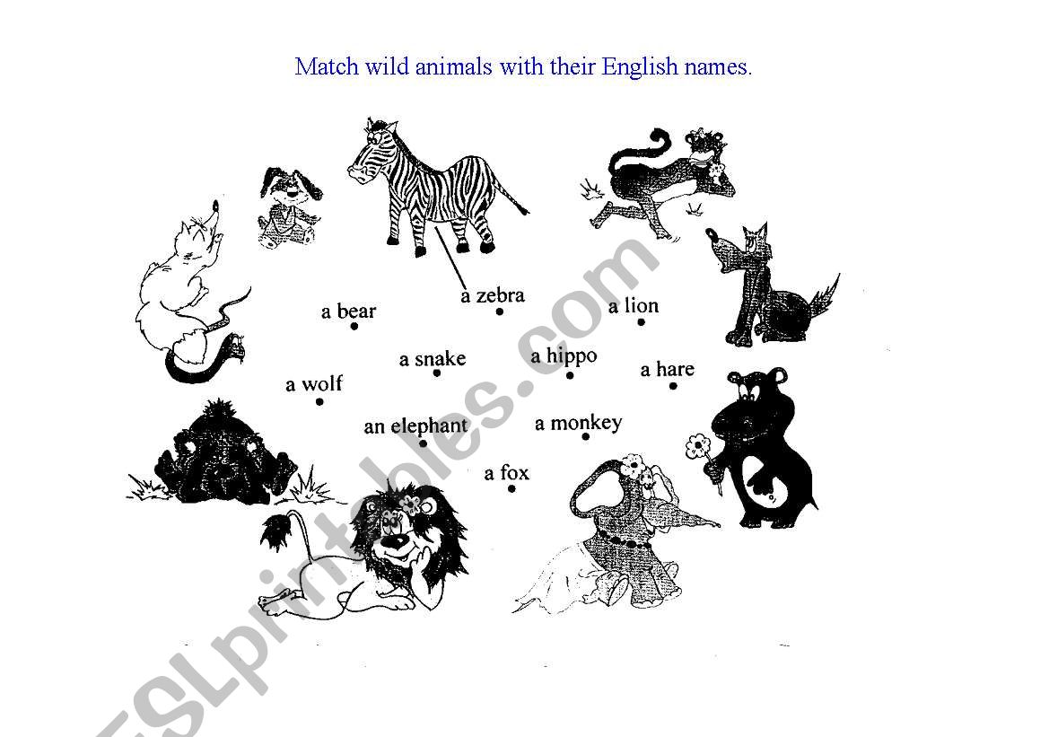 Wild animals worksheet