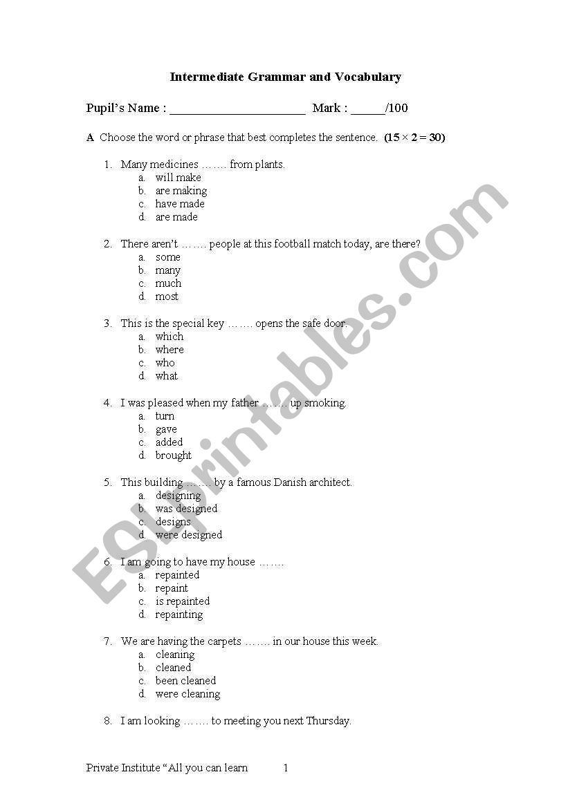 Grammar and Vocabulary worksheet