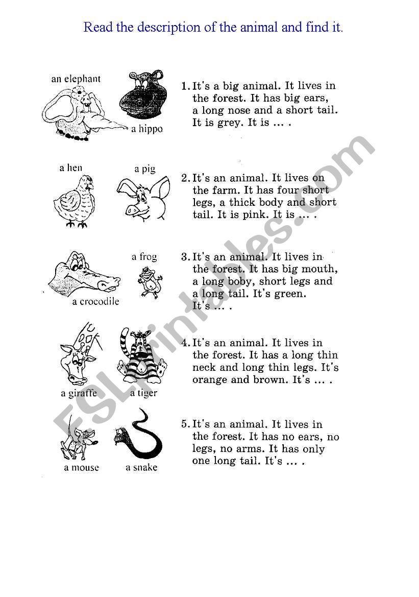 Animal description worksheet