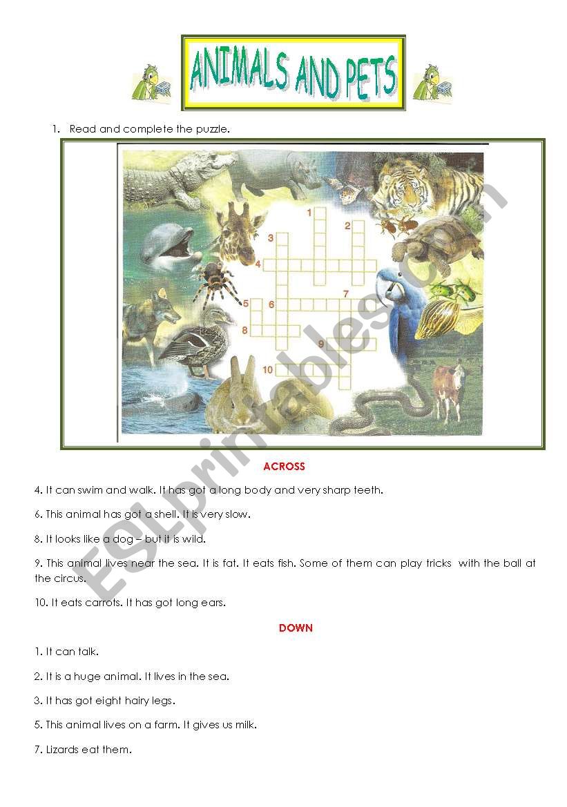 Animals and pets worksheet