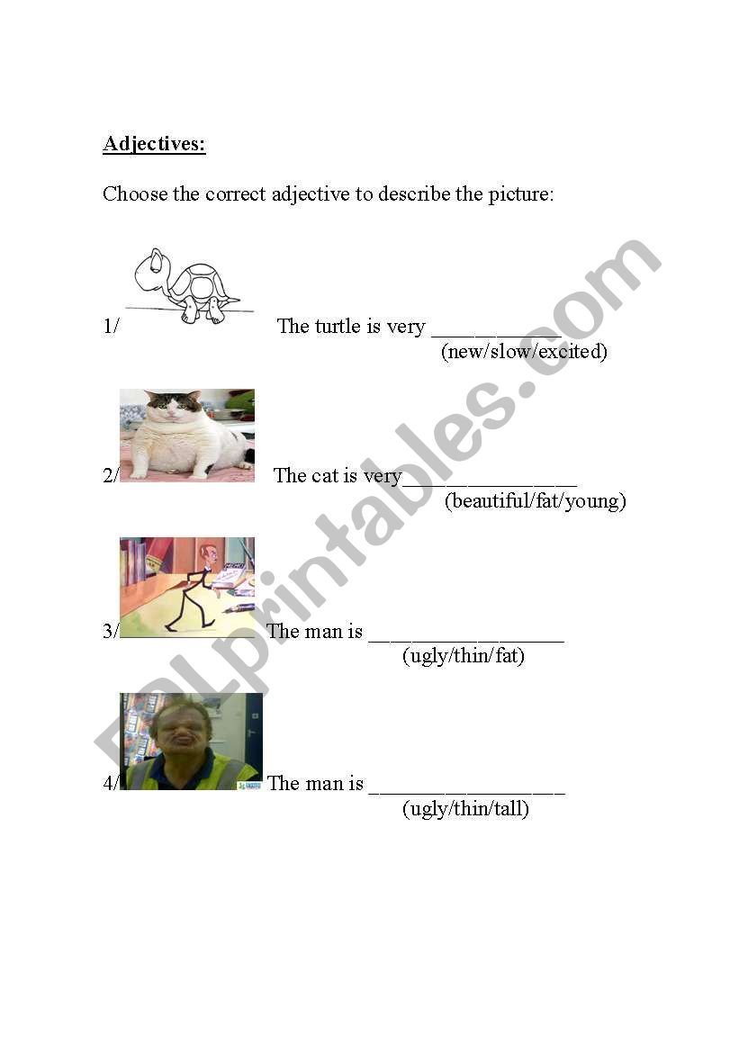 Adjectives Worksheet worksheet