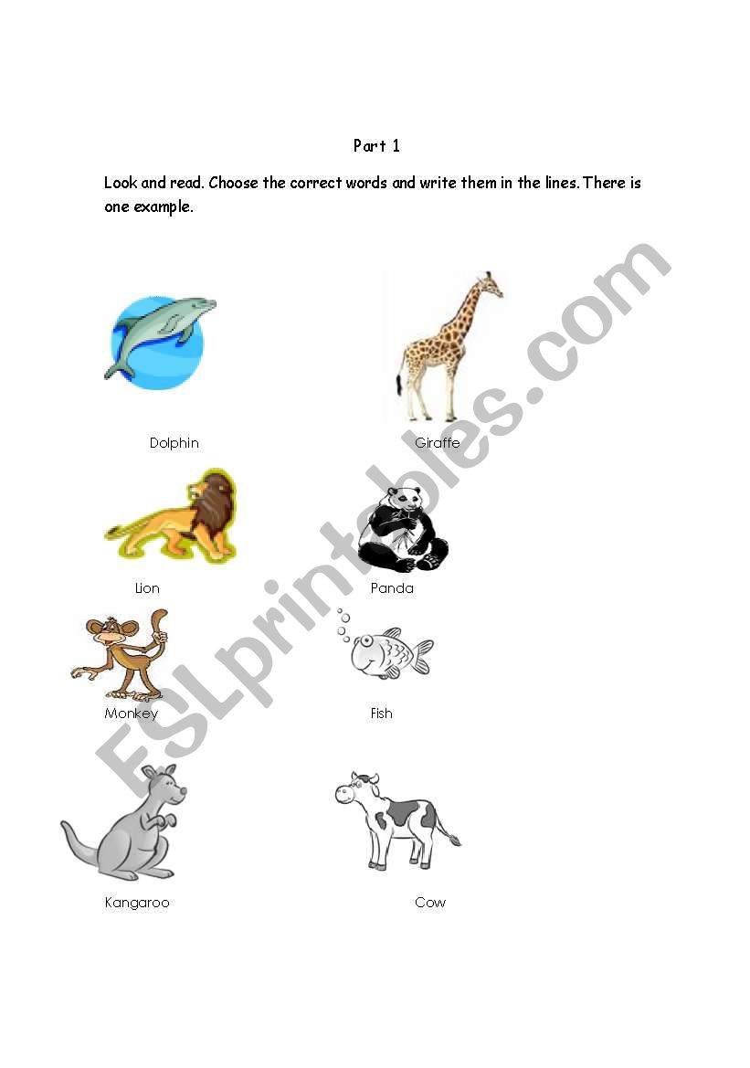Animal exercise for Movers worksheet