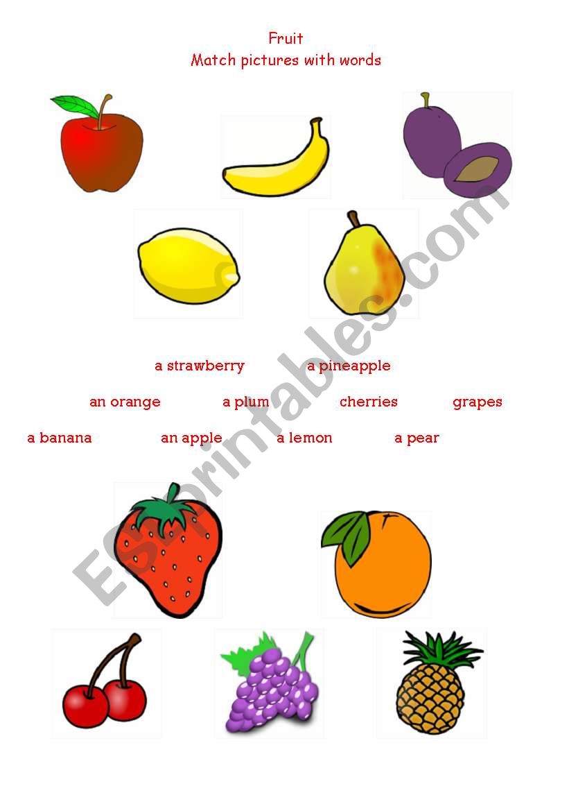 FRUIT worksheet