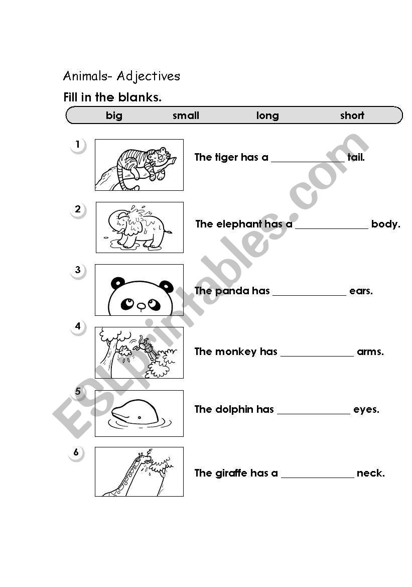 Animals worksheet