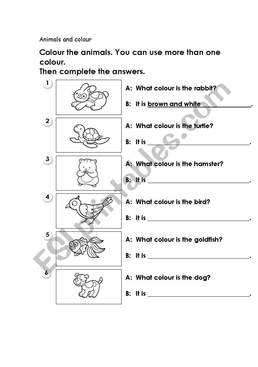 animals and colours worksheet