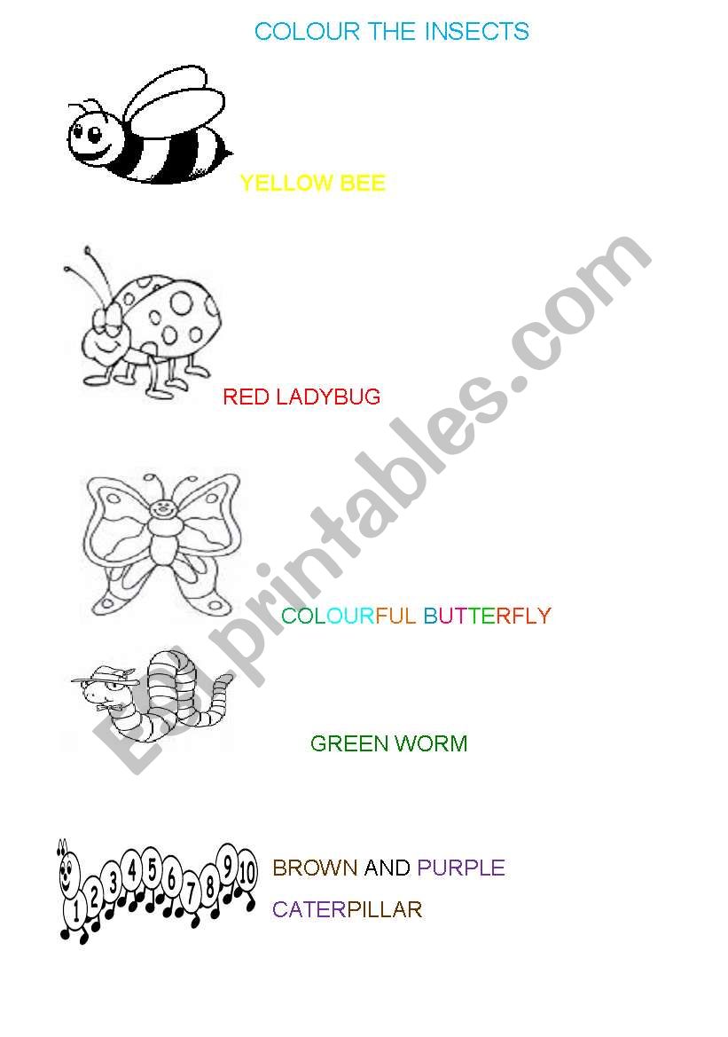 insects worksheet