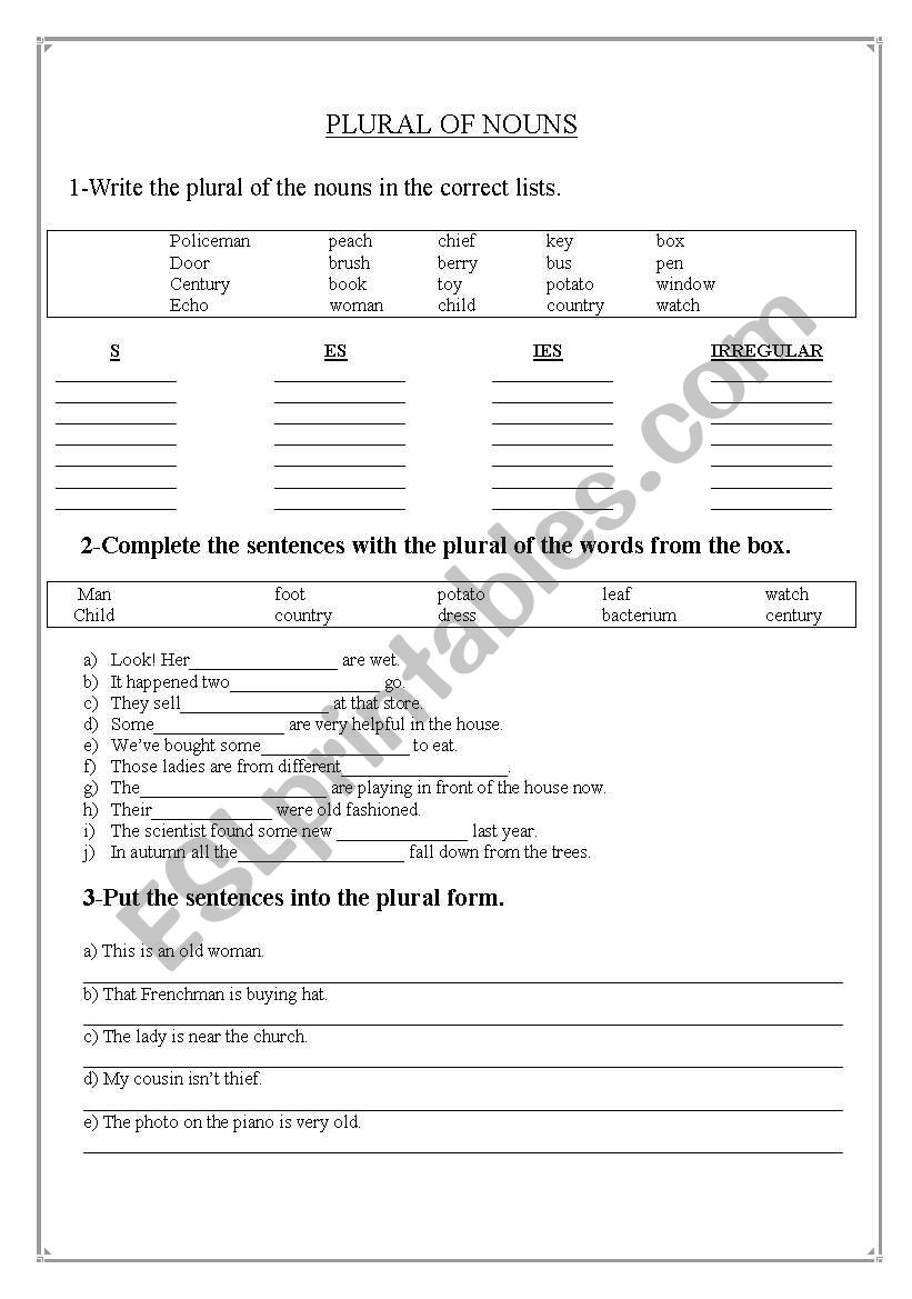 PLURAL worksheet