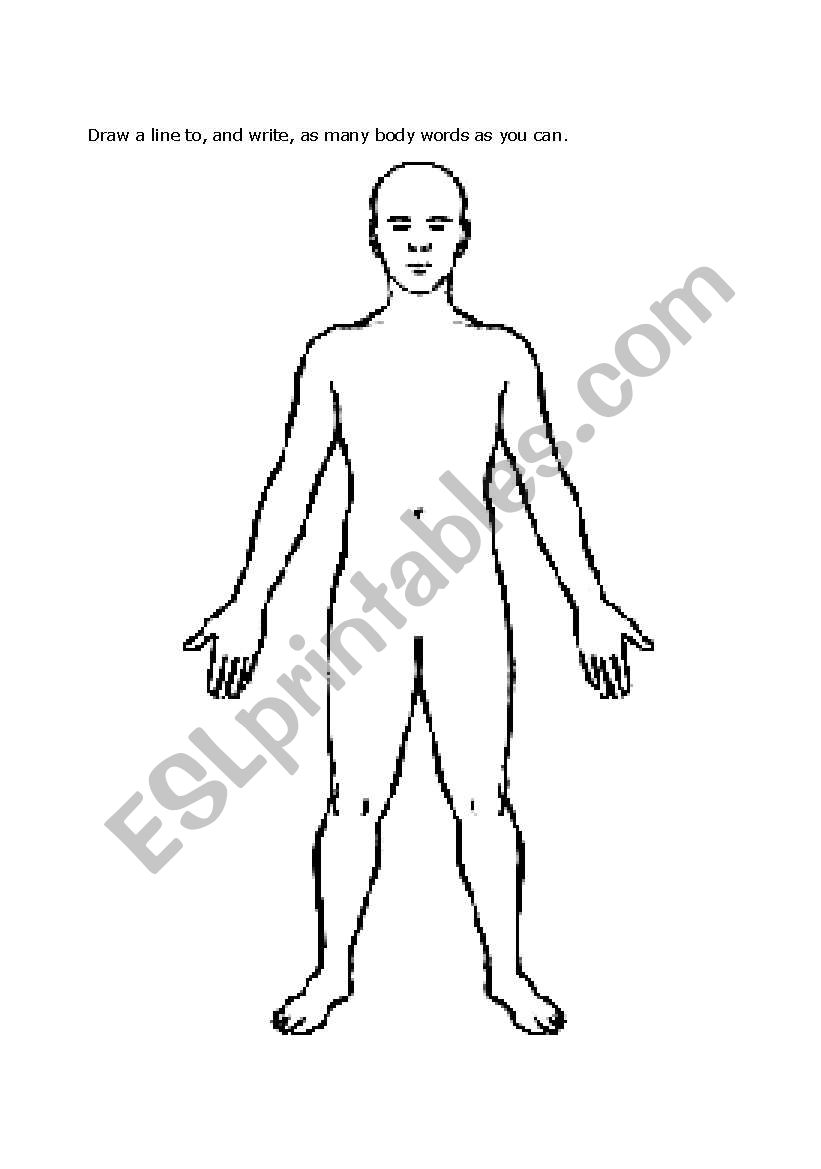 Body Diagram worksheet