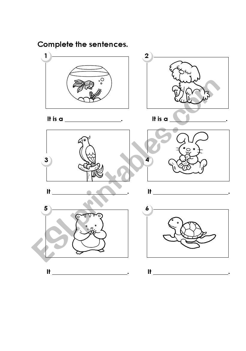 Pets worksheet