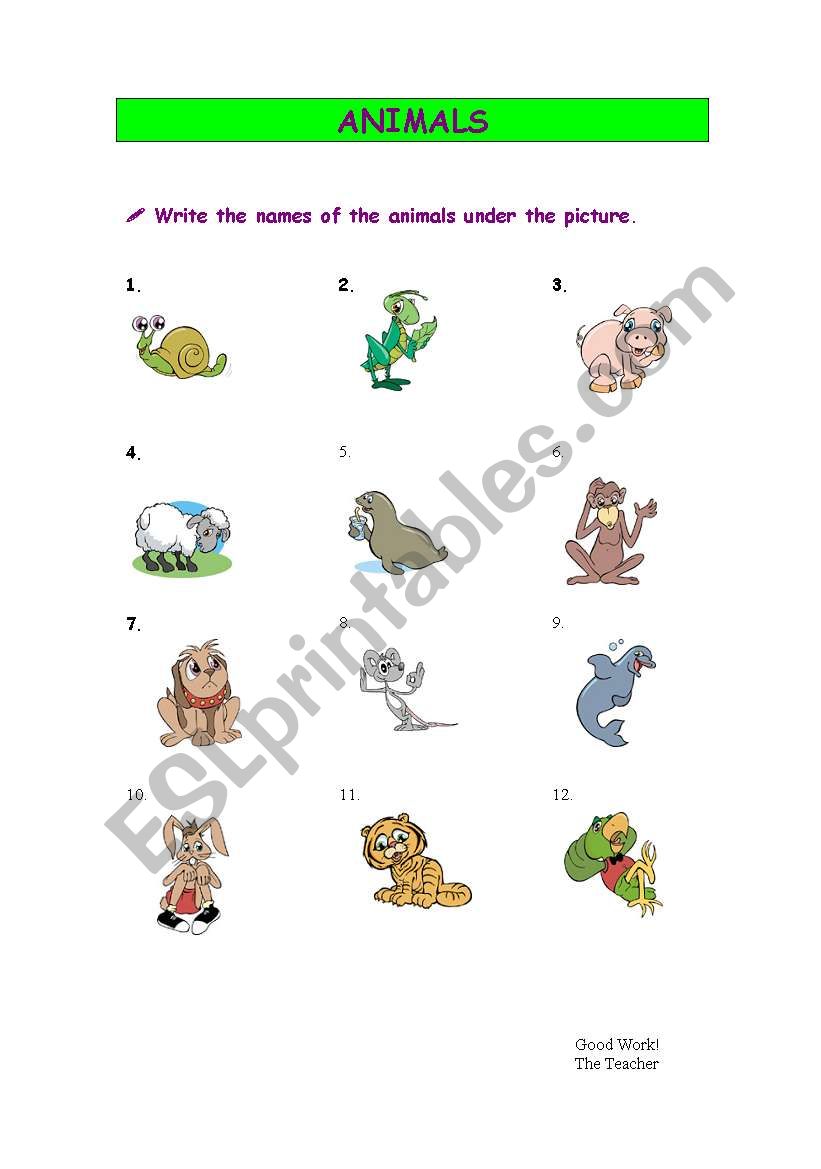 Animals worksheet