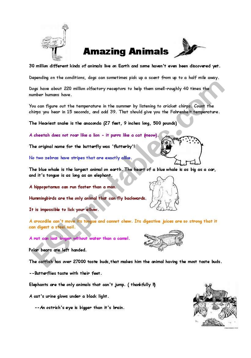 amazing animals fun facts worksheet