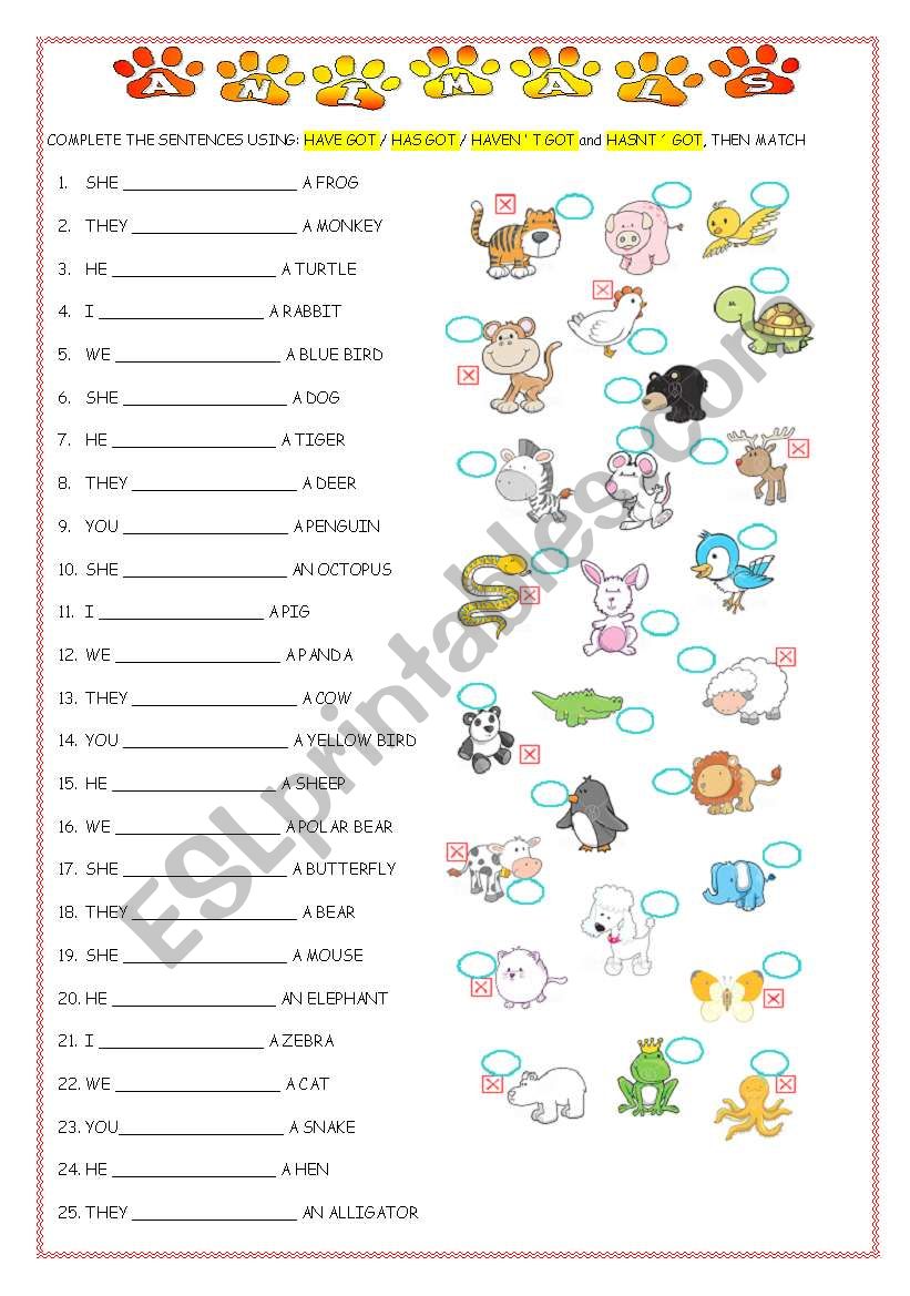 ANIMALS AND HAVE GOT worksheet