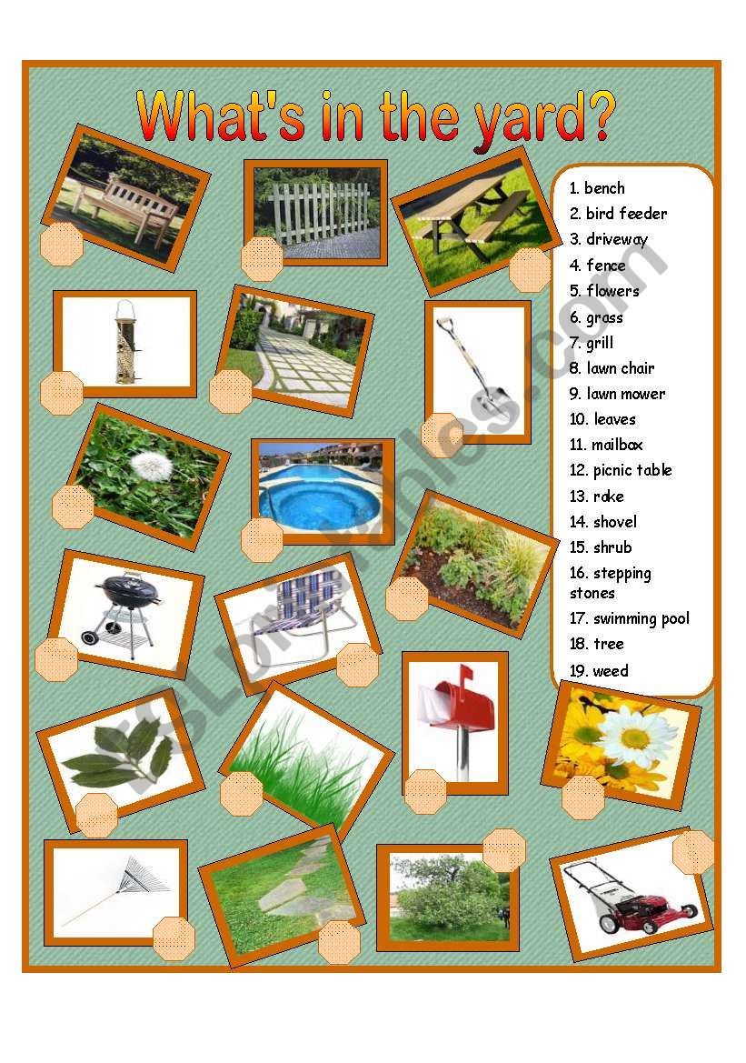 WhatÂ´s in the Yard? worksheet