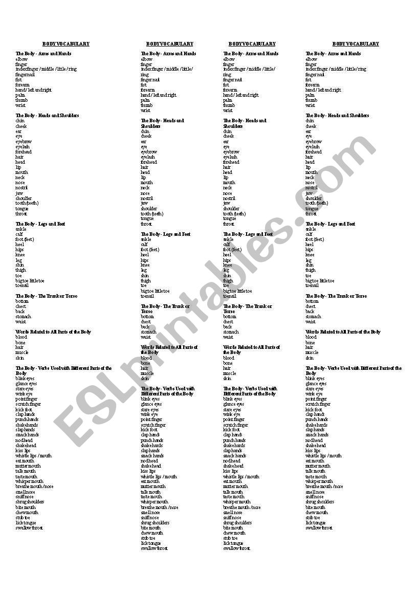 BODY VOCABULARY worksheet