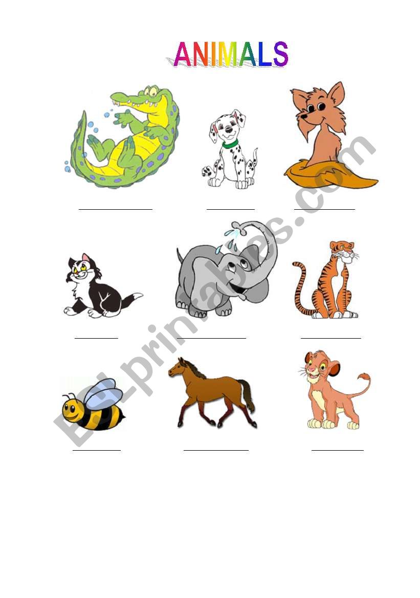 Animals worksheet