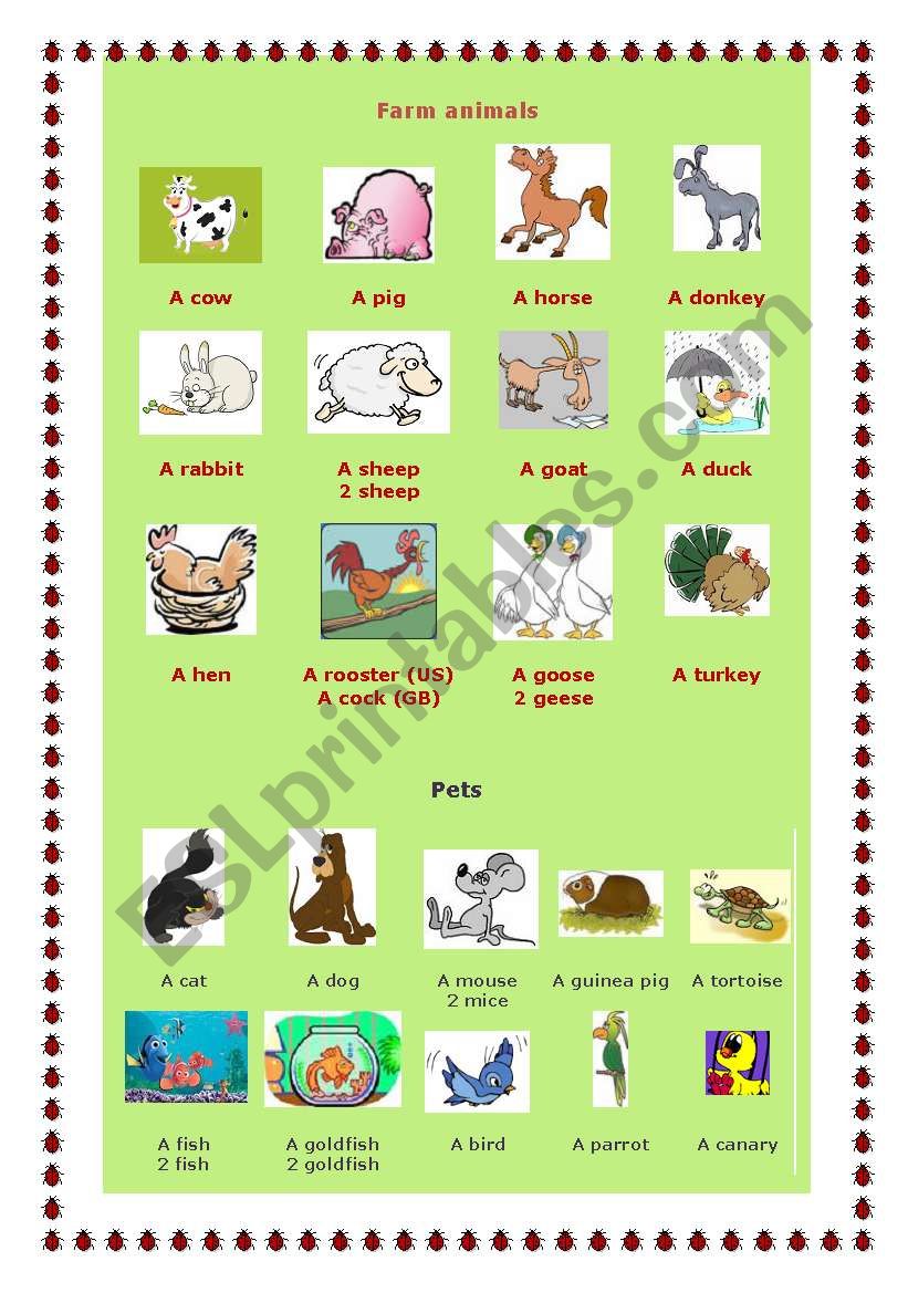 Pets and farm animals worksheet