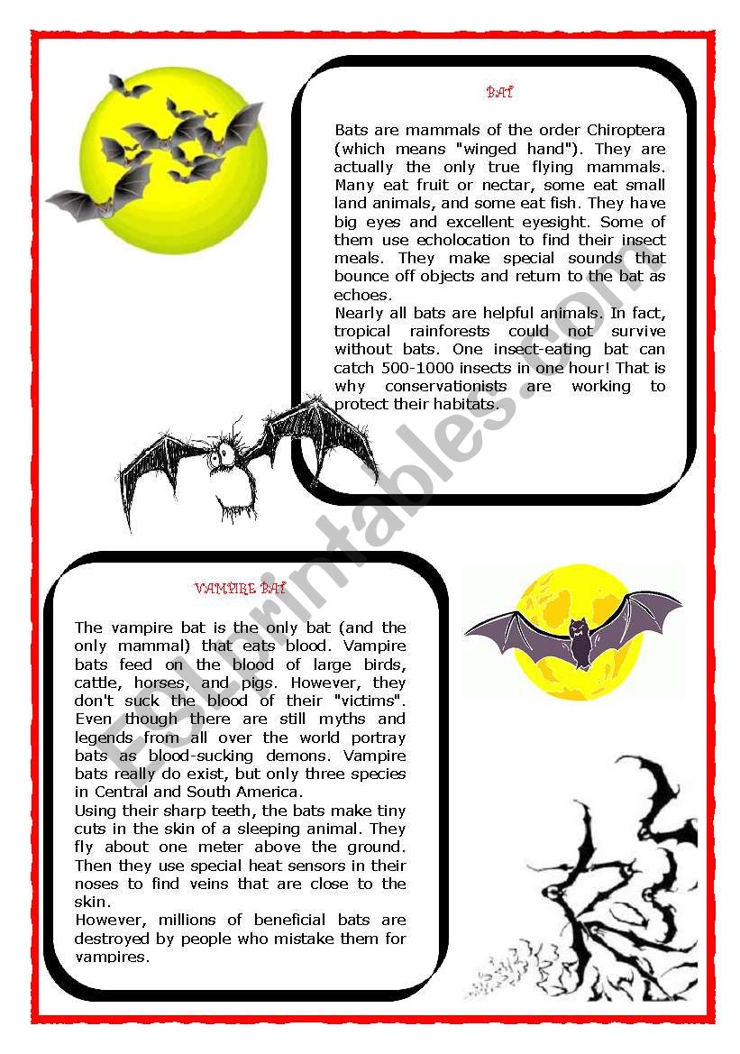 HALLOWEEN RELATED TOPIC: BATS - reading, vocab.exercises with answers