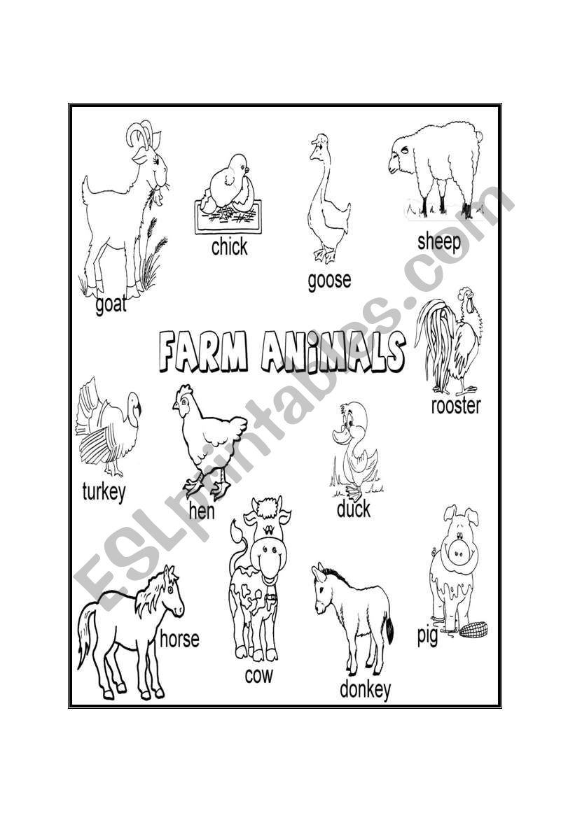 Farm animals worksheet