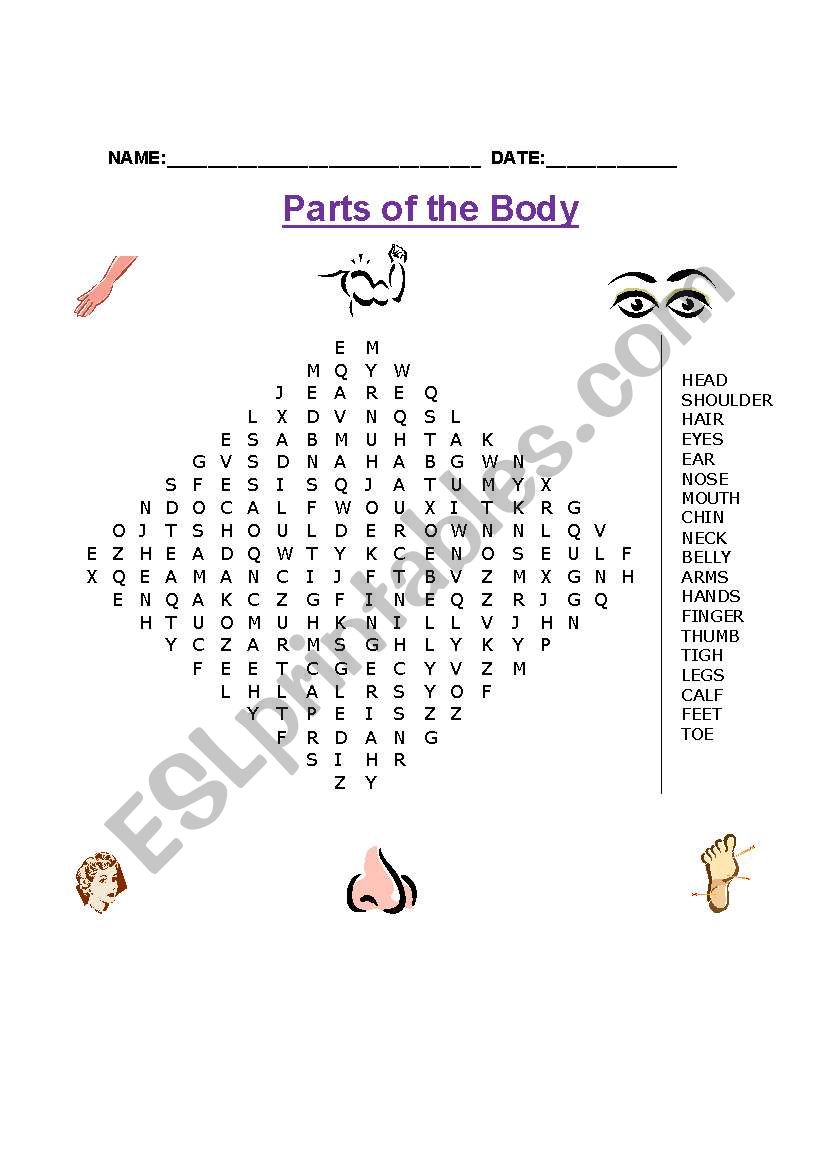 Parts of the Body Wordsearch worksheet