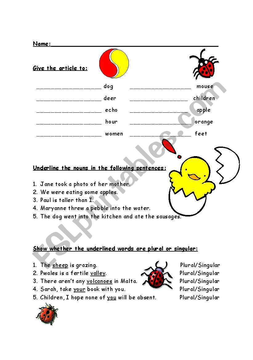 Article, nouns and adjectives worksheet