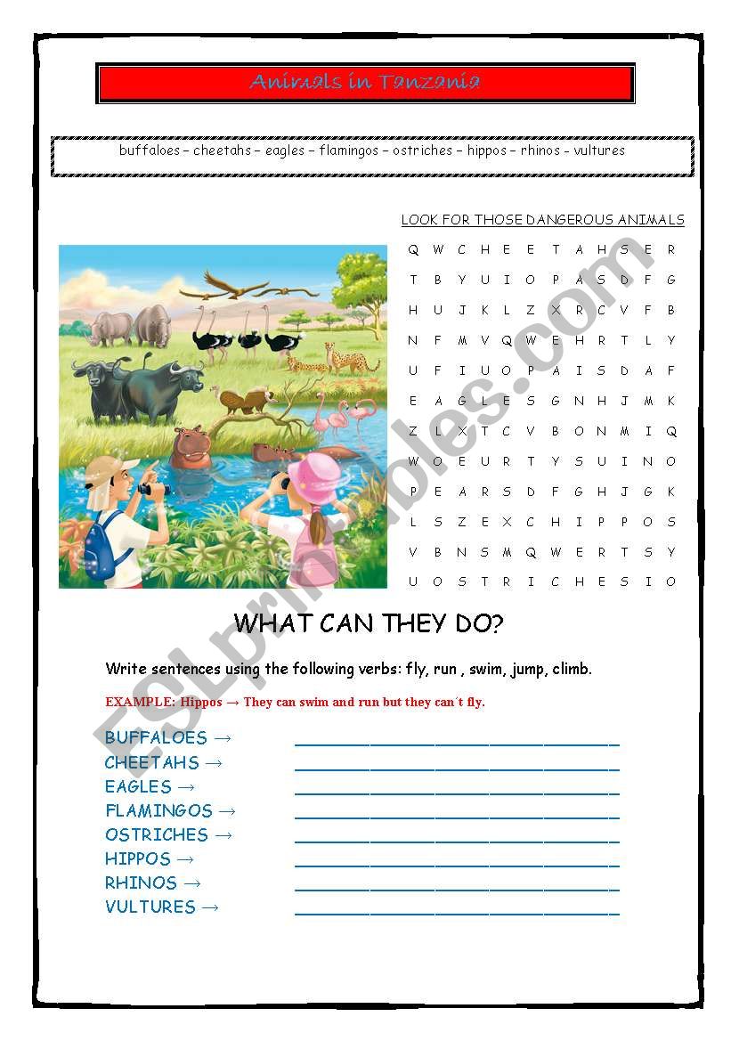 Animals in Tanzania worksheet