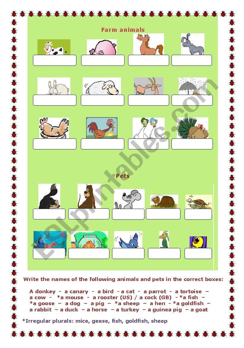 Pets and farm animals, a worksheet