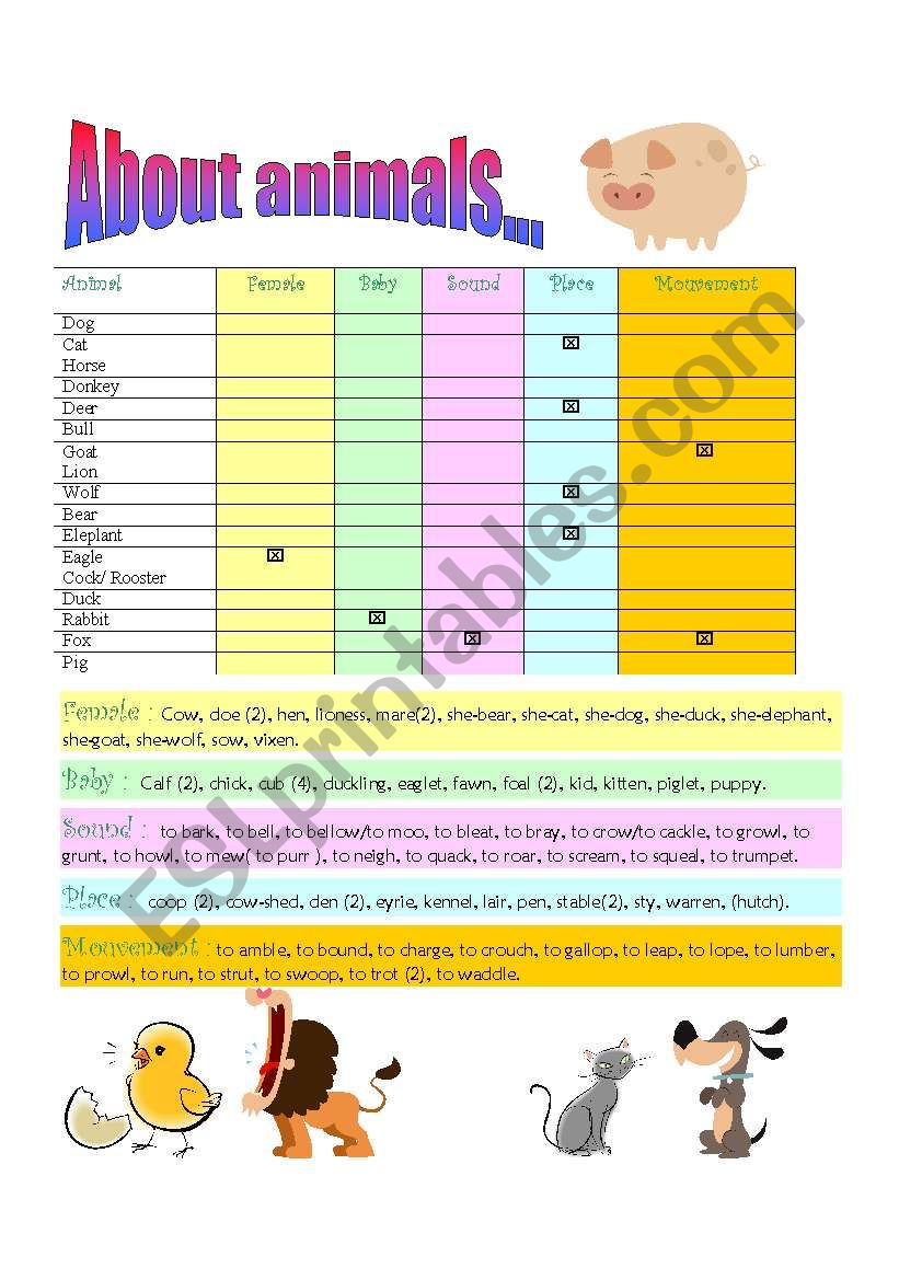 All about animals worksheet