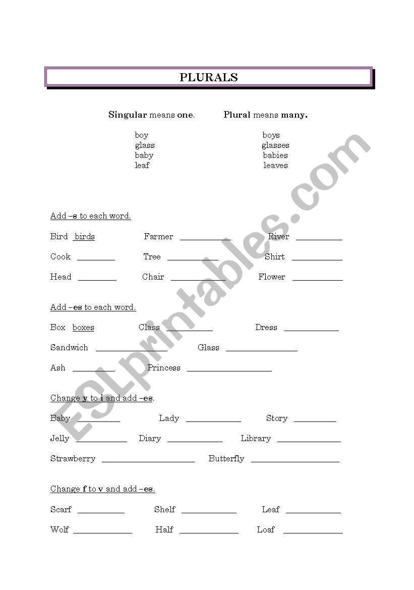 PLURALS worksheet