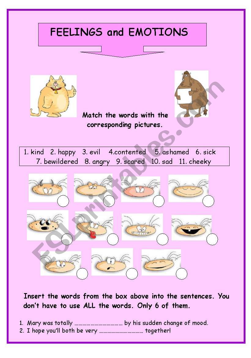 FEELINGS and EMOTIONS worksheet