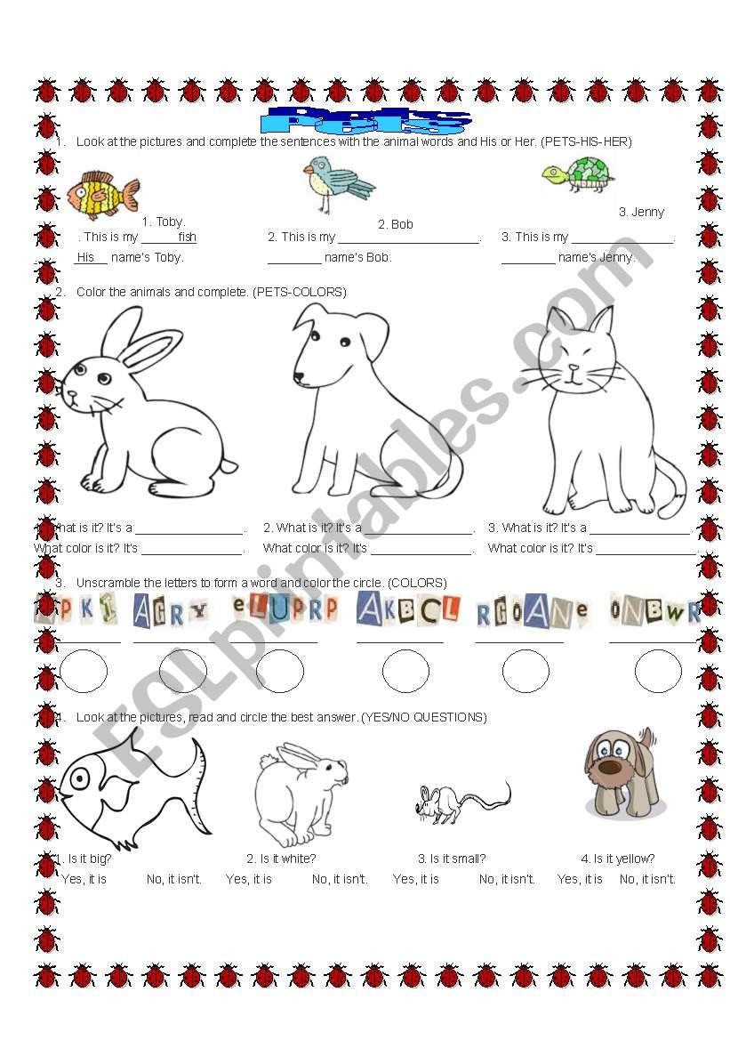 REVIEW  COLORS, POSSESSIVE ADJECTIVES. VOCABULARY OF PETS.