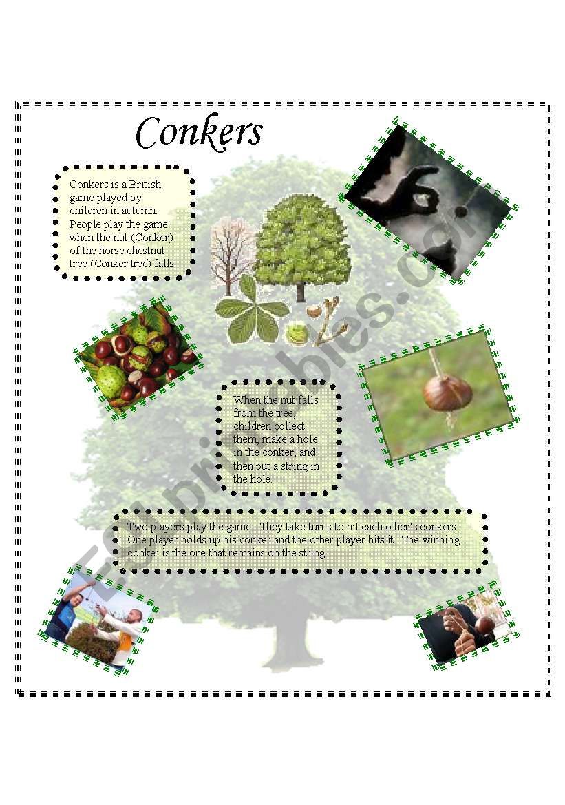 Conkers worksheet