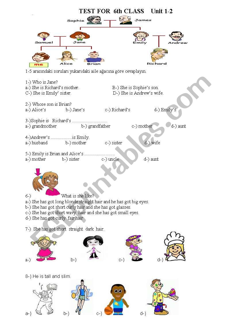 test for elementary classes (physical desciption,family, likes-dislikes)