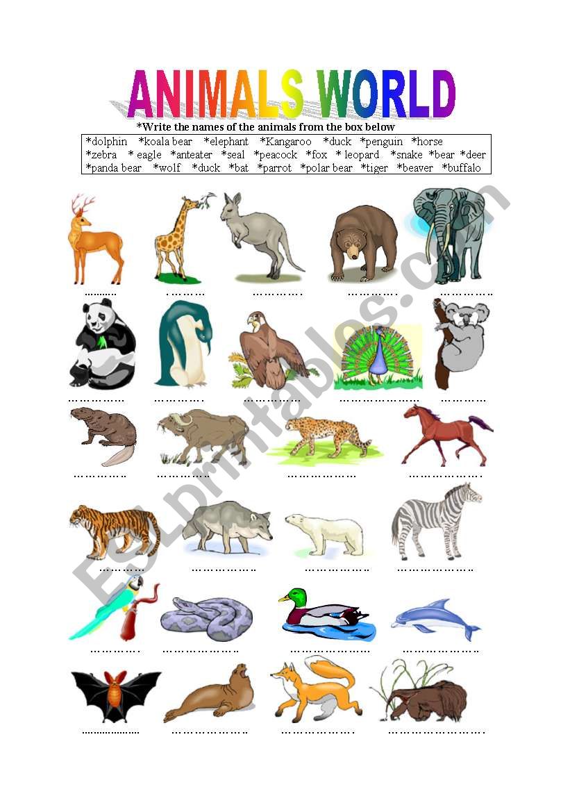 ANIMALS WORLD worksheet