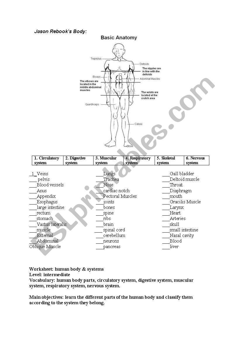 body parts worksheet