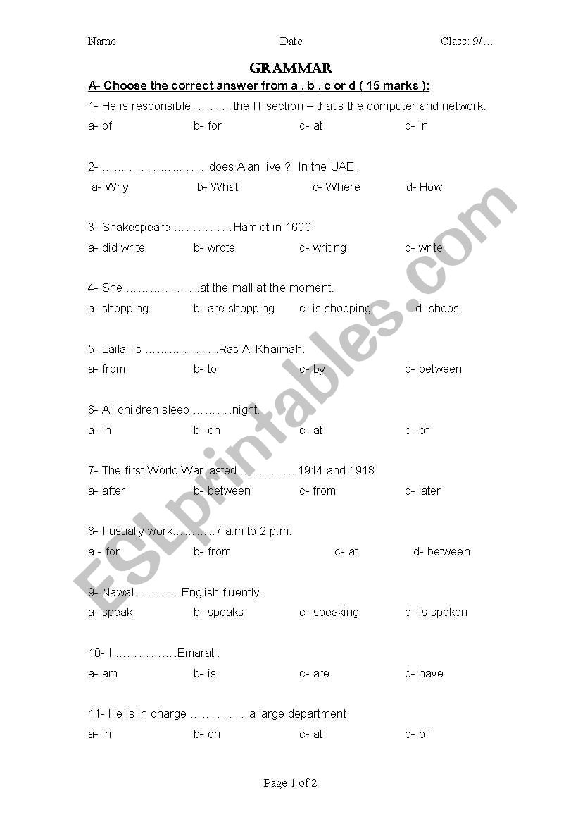 Grammar Test  worksheet