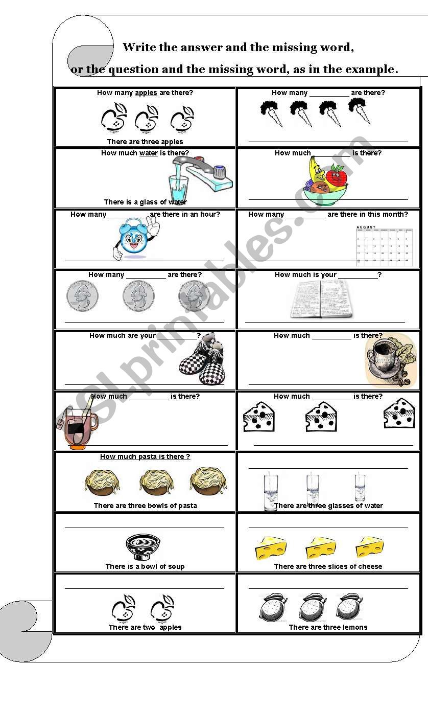HOW MANY, HOW MUCH worksheet