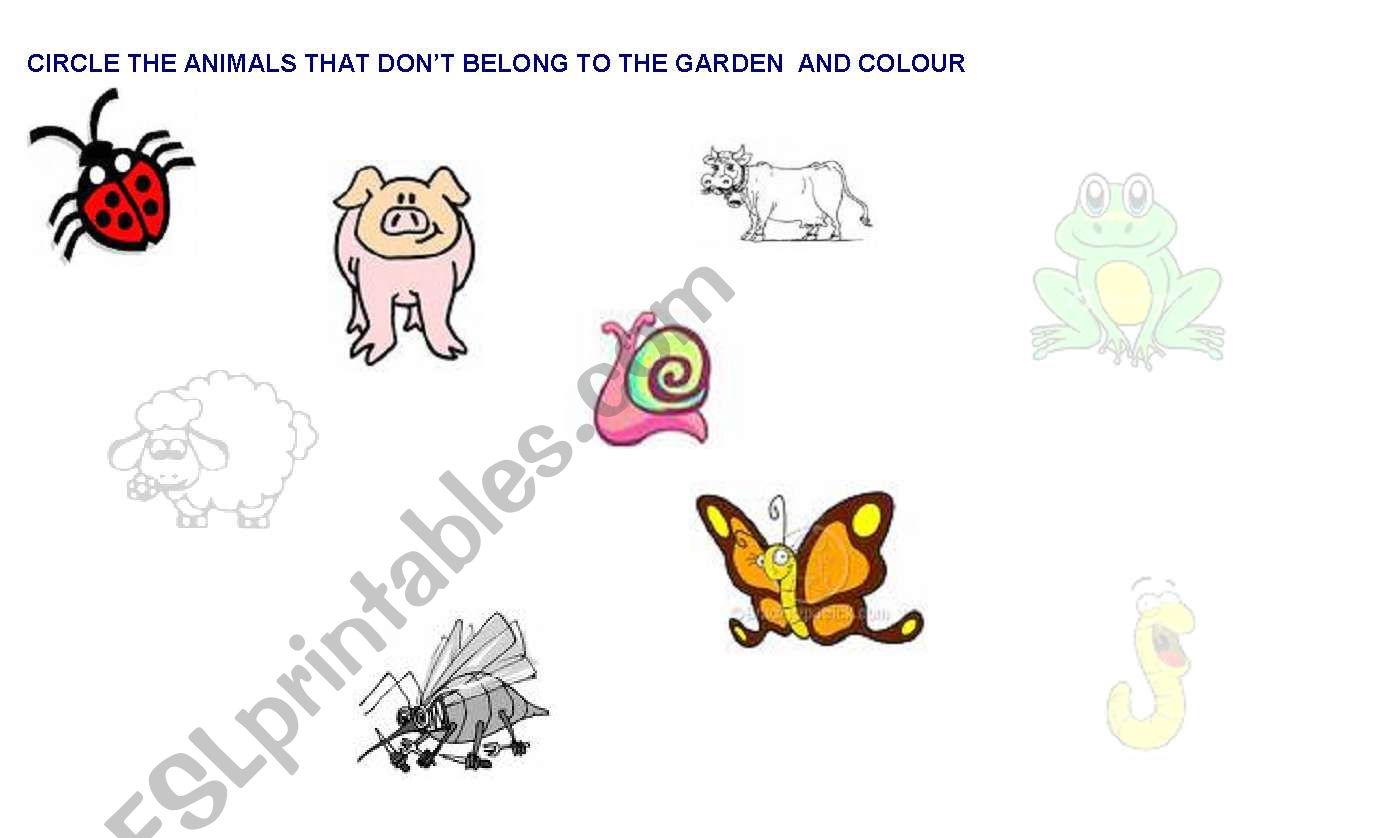 ANIMALS OF THE GARDEN worksheet