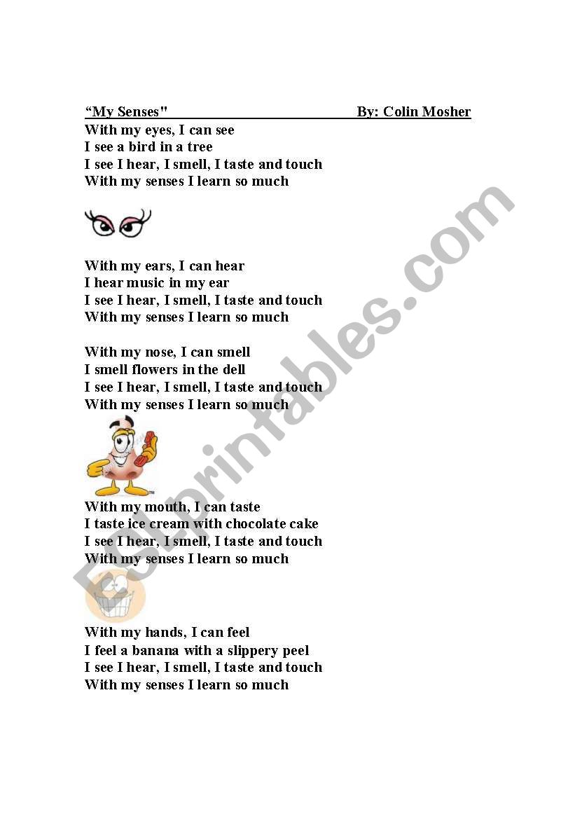 my senses worksheet