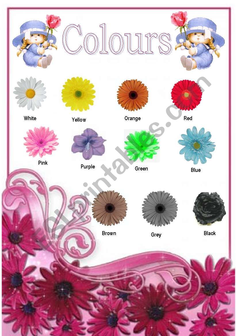 Colours worksheet